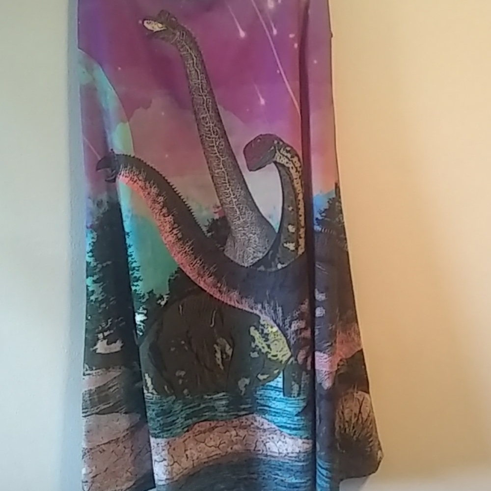 Dinosaur tunic